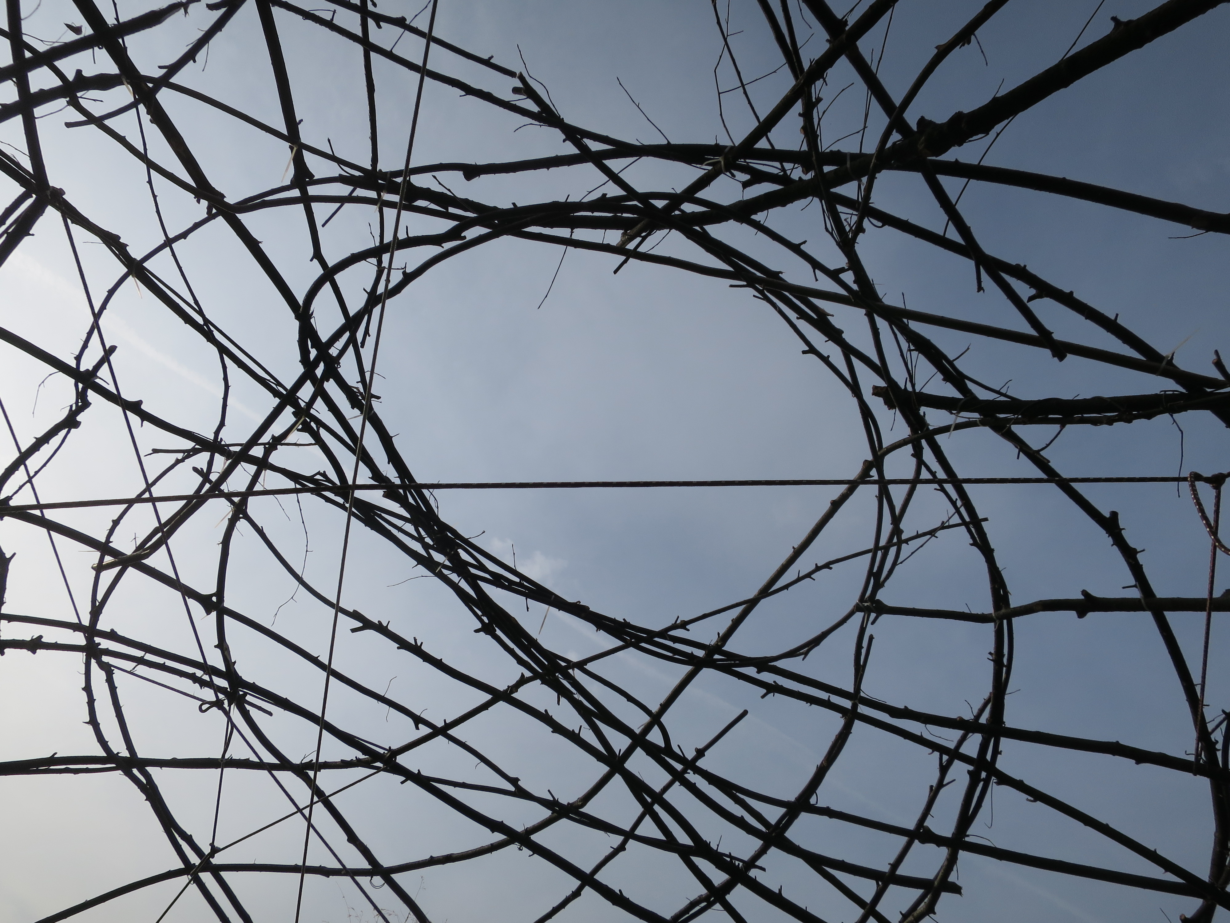 Gradnja - (zemlja, les, kamen) 🏗️🌍